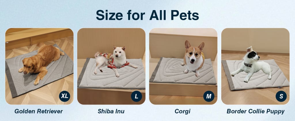 Healing Recovery Mats